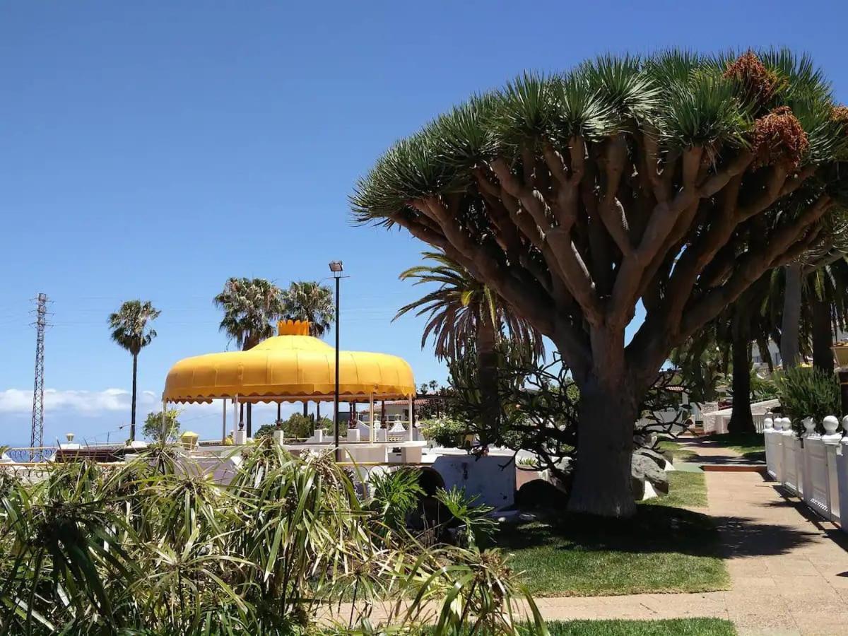 Guanche Bay Lägenhet Santa Cruz de Tenerife Exteriör bild